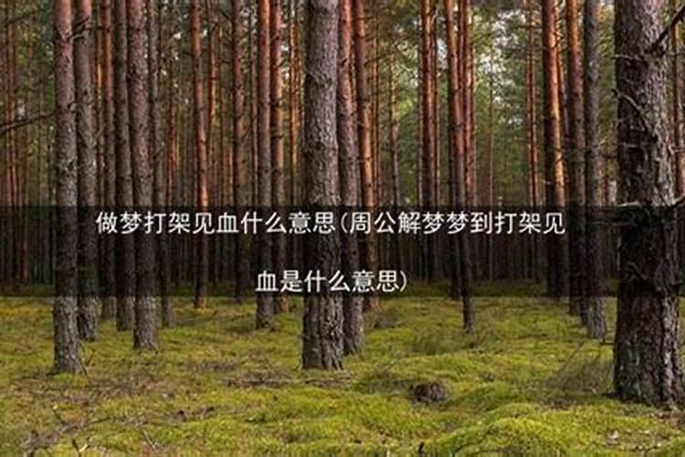 做梦梦到打架打出血