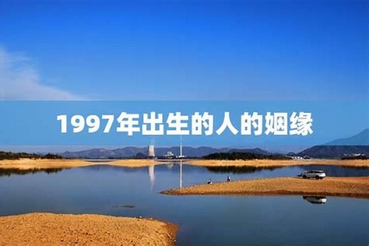 97年属牛男哪一年会动婚