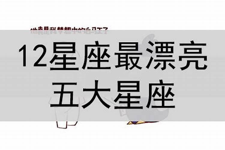 2023年属什么生肖几岁了