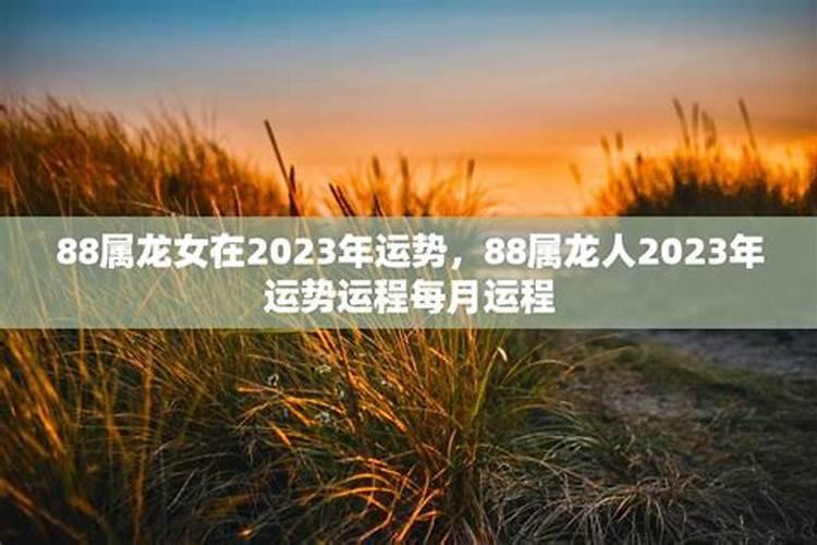 属龙女2023年每月运势及运程