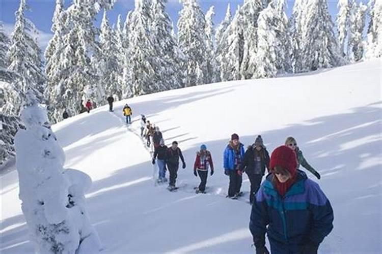 梦见雪地里走路回家