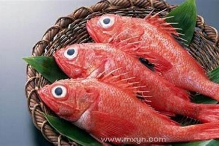 梦见红鱼是什么意思周公解梦