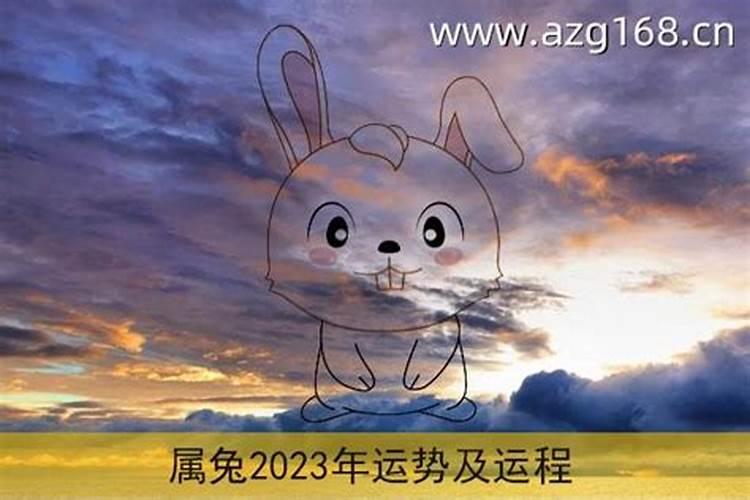 87年属兔女2023年的运势及运程如何