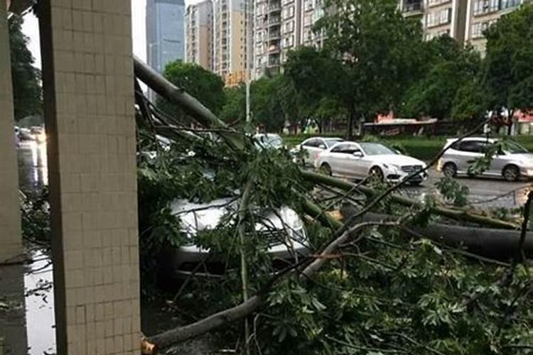 梦见狂风暴雨天灾