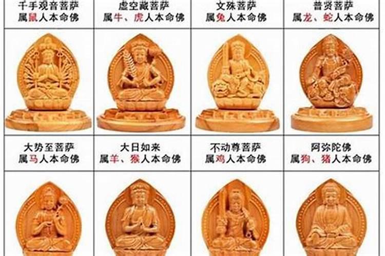 金牛座守护星是什么守护神又是谁