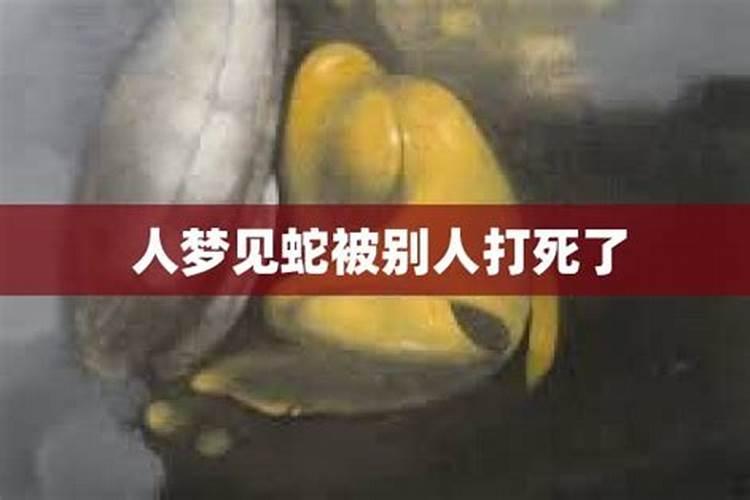 梦见蛇被打死后变成了人