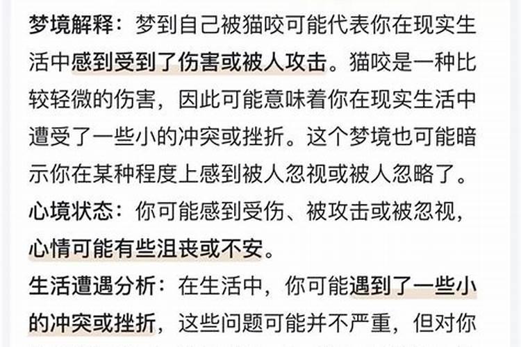 梦见被猫追着咬伤最后打死猫了啥意思