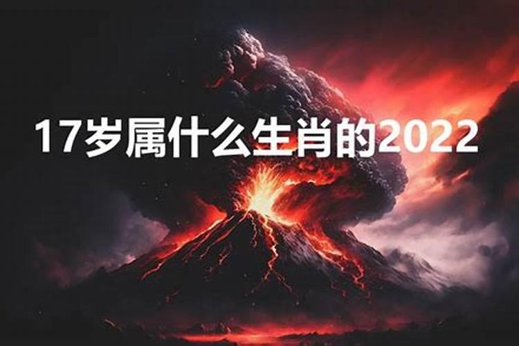 12月17什么星座