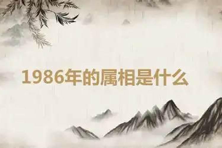 请问1986年出生的属相是什么