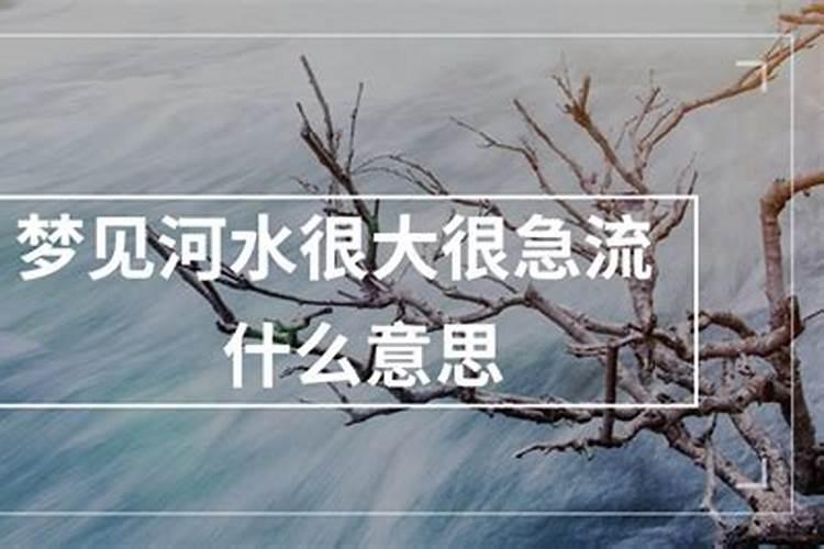 梦见过河河水很急