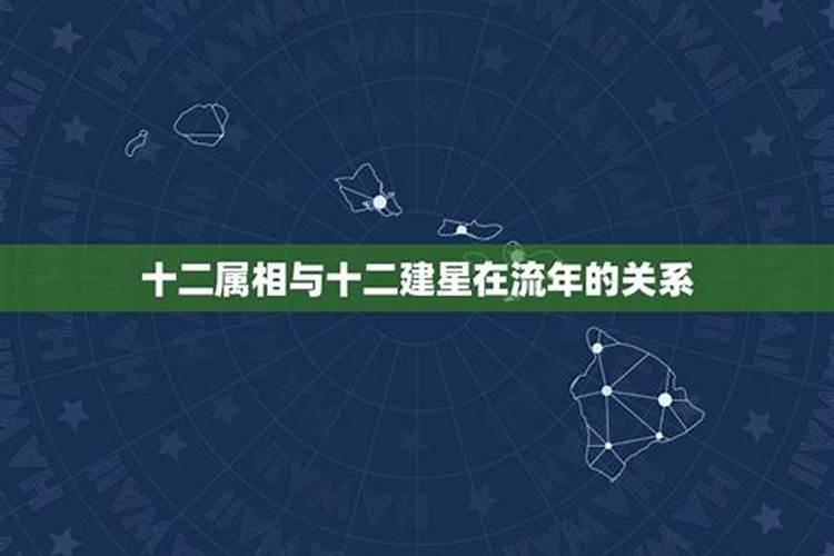 邓伦的属相和星座