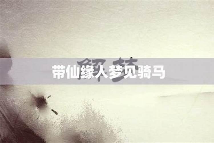 带仙缘梦到马