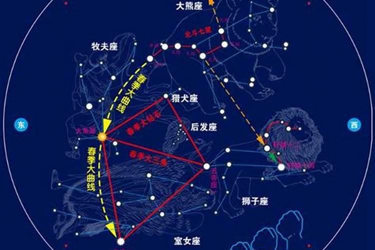 十一月16日是哪个星座