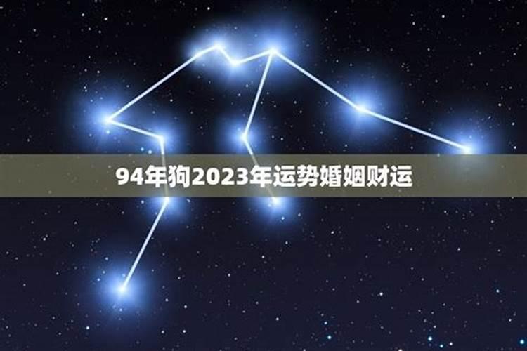 94年属狗的2023多少岁