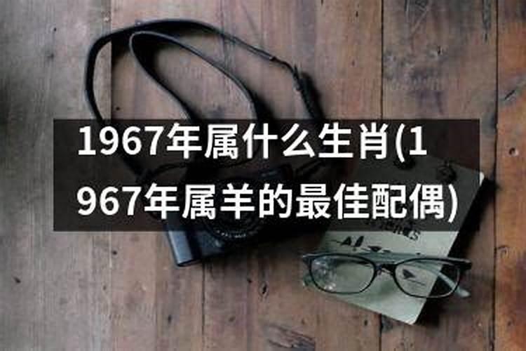 1967年属什么的最佳配偶呢