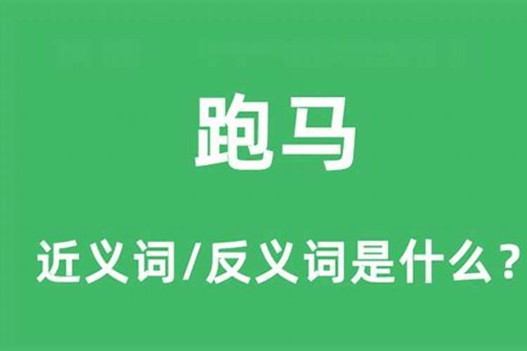 梦见跑马是什么意思周公解梦