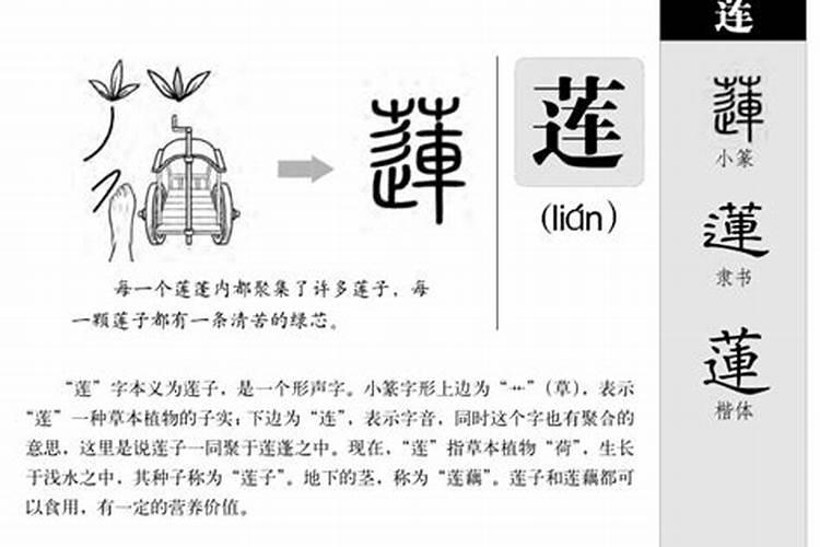 92年是属什么