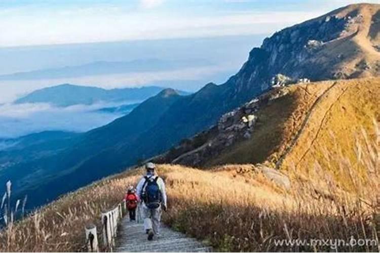 梦到去爬山什么意思