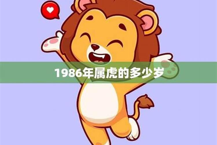 1986年属虎是什么命多少岁