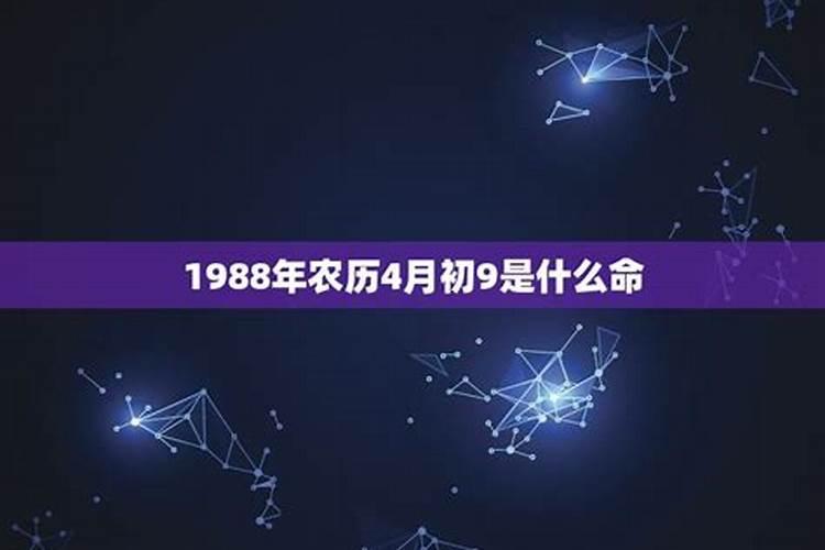 1988年农历4月初九的命运如何