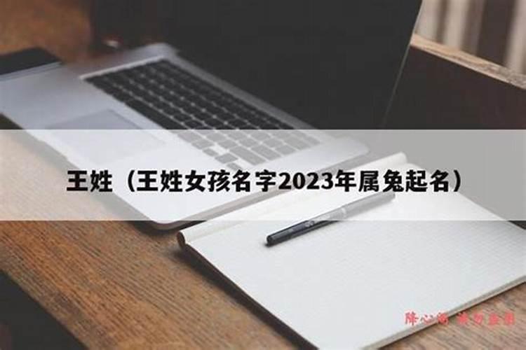 王姓女孩名字2023年属兔起名