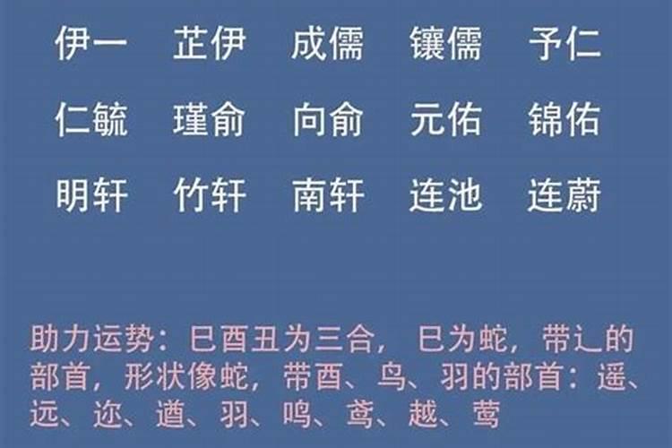 属蛇取名字大全男孩