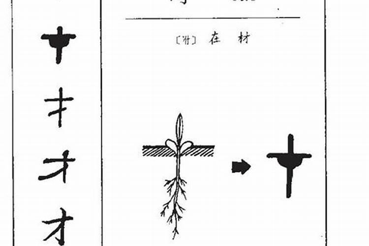 怀孕梦到老公出轨预示什么