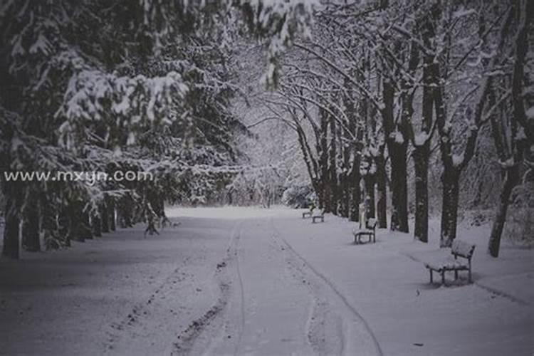 做梦梦见下很大的雪代表什么意思呀