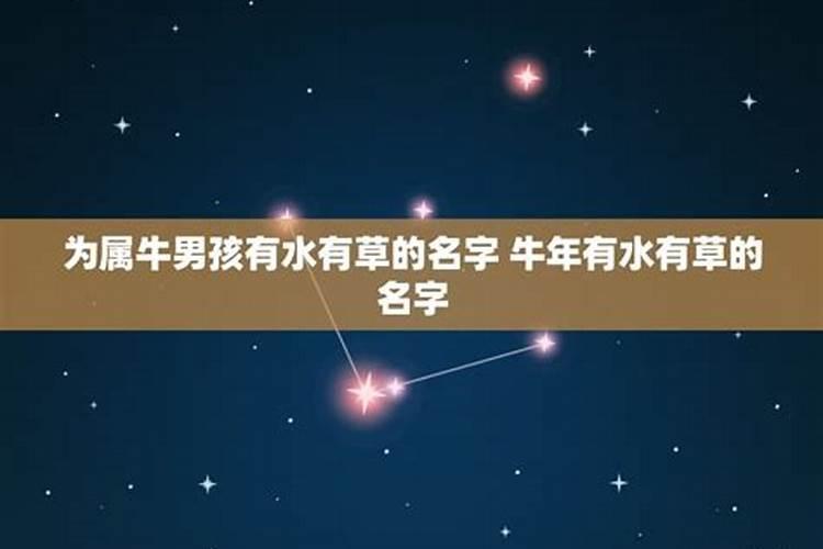 10.5什么星座