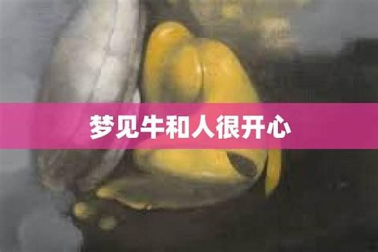 梦到牛人结合体