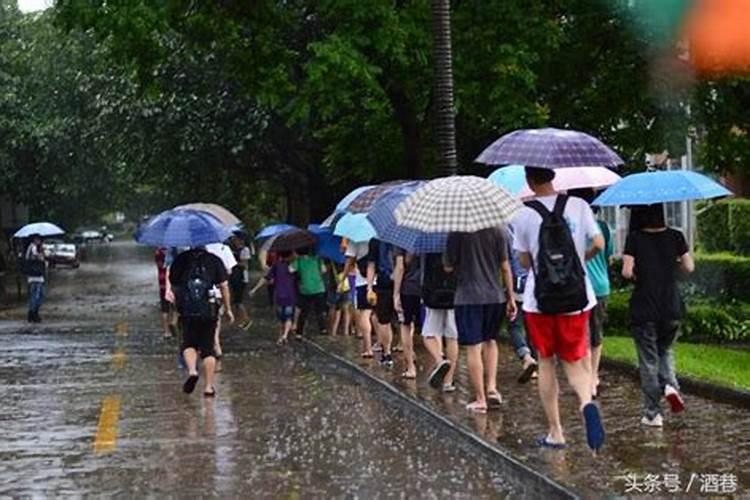 梦见雨天行路