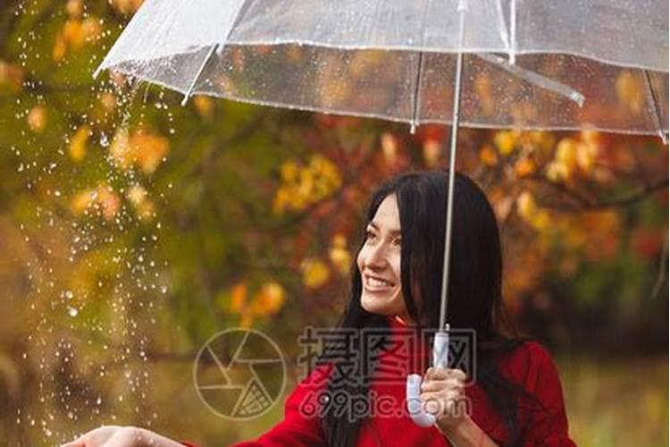 梦见在雨中打着伞