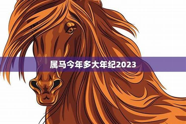 属马今年多大年龄2020