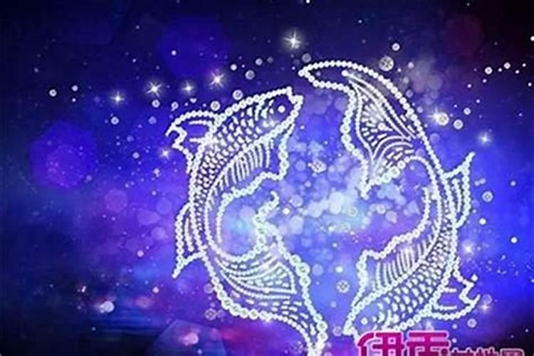 属猪的今年带什么吉祥物