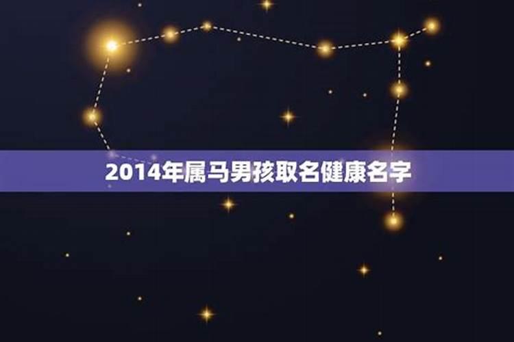 2014年属马男孩的是什么命