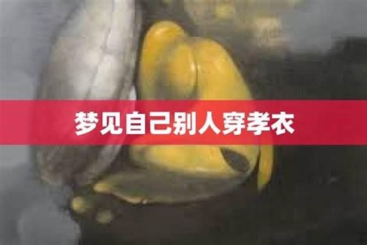 梦见父亲已死还办葬礼自己穿孝衣还哭大哭