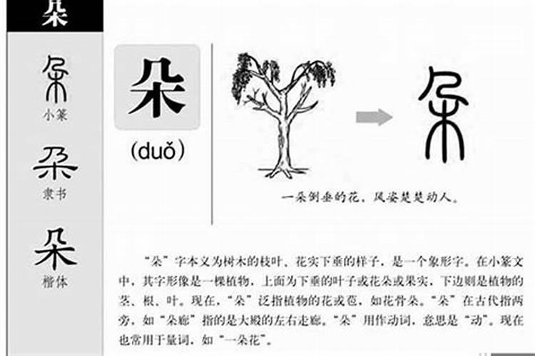 玲这个字的五行属什么