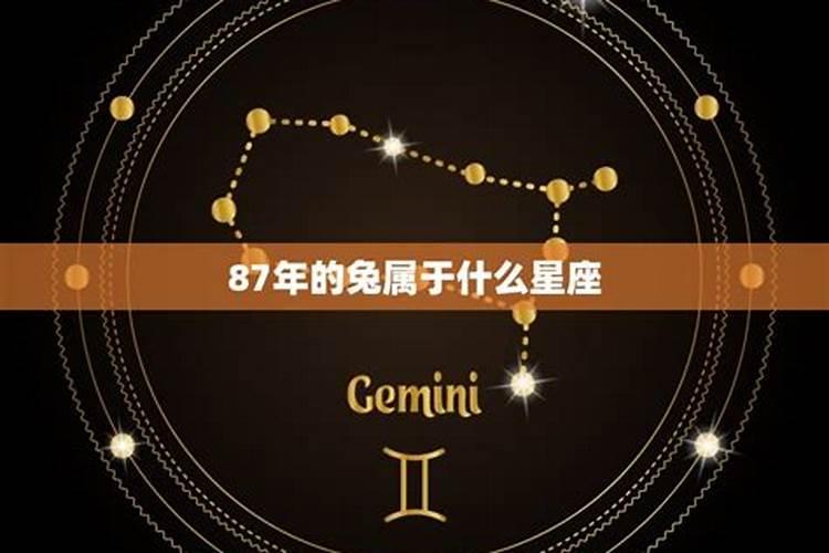 87年属兔12月份是什么星座