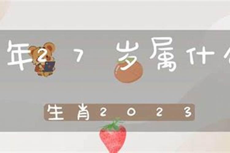 今年虚27岁属什么生肖