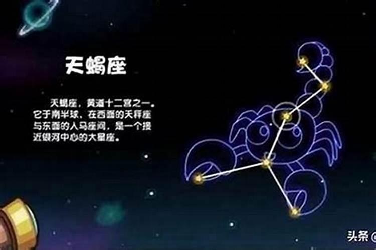 井柏然什么星座