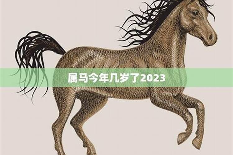 属马今年几岁了2020年