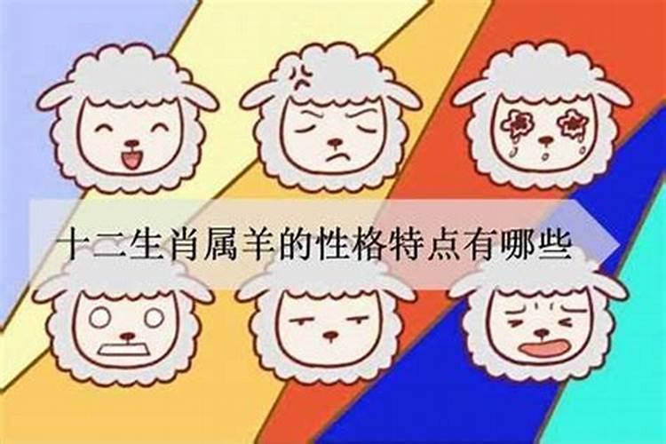 属羊的女人性格和脾气及爱情分析