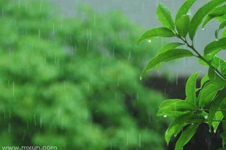 梦见下着小雨在雨中走