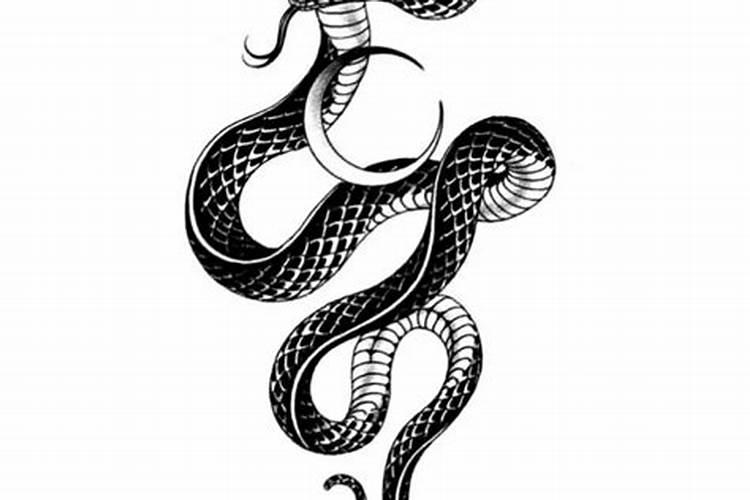 做梦梦到手臂上纹了蛇的纹身