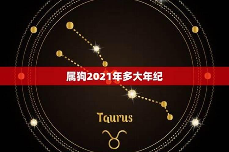 2021年属狗今年多大年龄