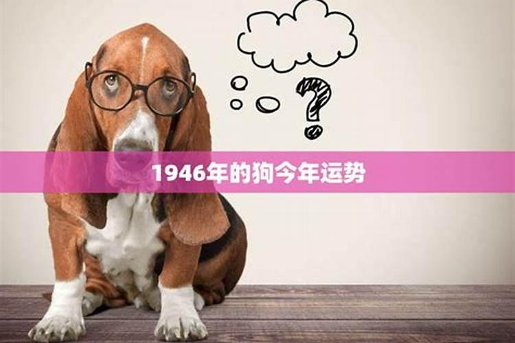 1934年属狗今年多大年龄