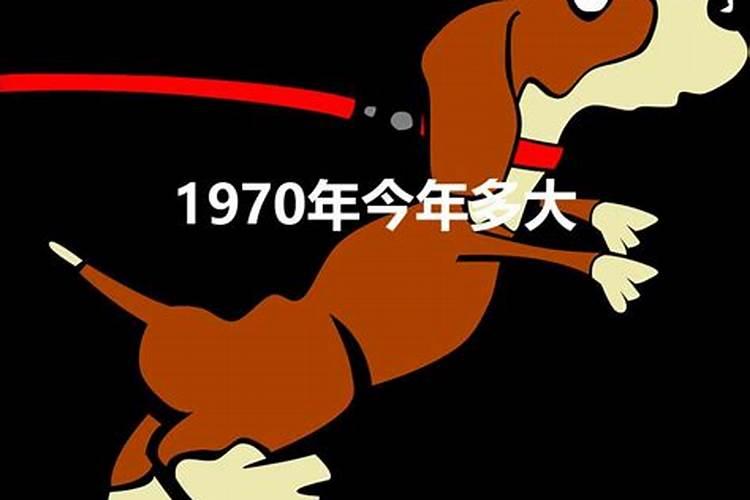 1970年属狗的今年多大岁数了啊