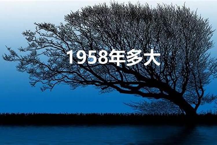 1958年属狗的今年多大岁数了啊