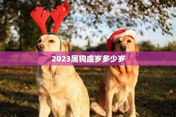 属狗今年多少岁虚岁