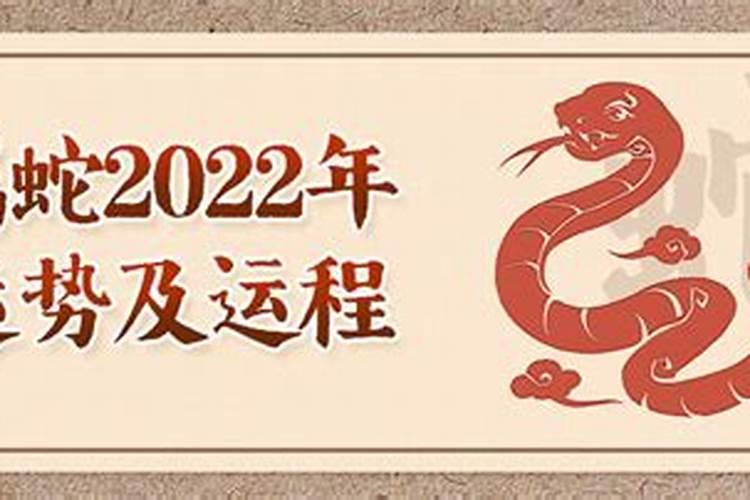 属蛇的在2022年的运势